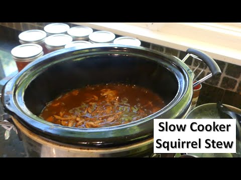 Easy Tender Slow Cooker Squirrel Stew