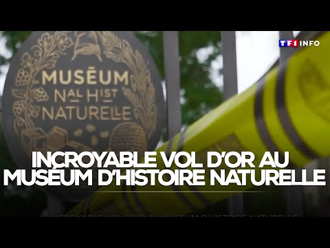 Incroyable vol d'or au Muséum d'Histoire naturelle à Paris｜TF1 INFO