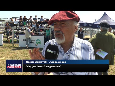 REALIDAD GANADERA - Nestor Chiaravalli