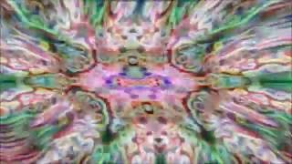 Robyn Hitchcock    Luminous Rose