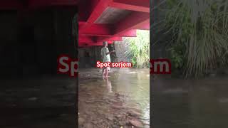 Download lagu #fishing #fishinginreservoir #fishing mp3