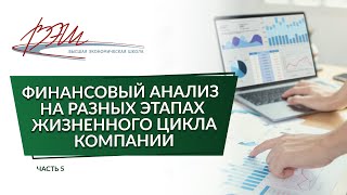 Финансовый анализ на разных этапах жизненного цикла компании