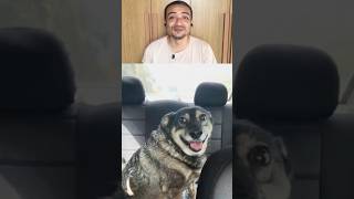 Um homem reencontra seu cachorro já idoso depois de muito tempo #shorts