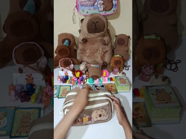 Vídeo relacionado con FOSDICK Estuche Capibara, Estuche Escolar de Silicona Blanda 2 en 1, Kawaii Capibara Estuches, Pencil Case con Cremallera, Lindo Estuches Escolares Vertical per Escuela, Oficina, Regalo Niño