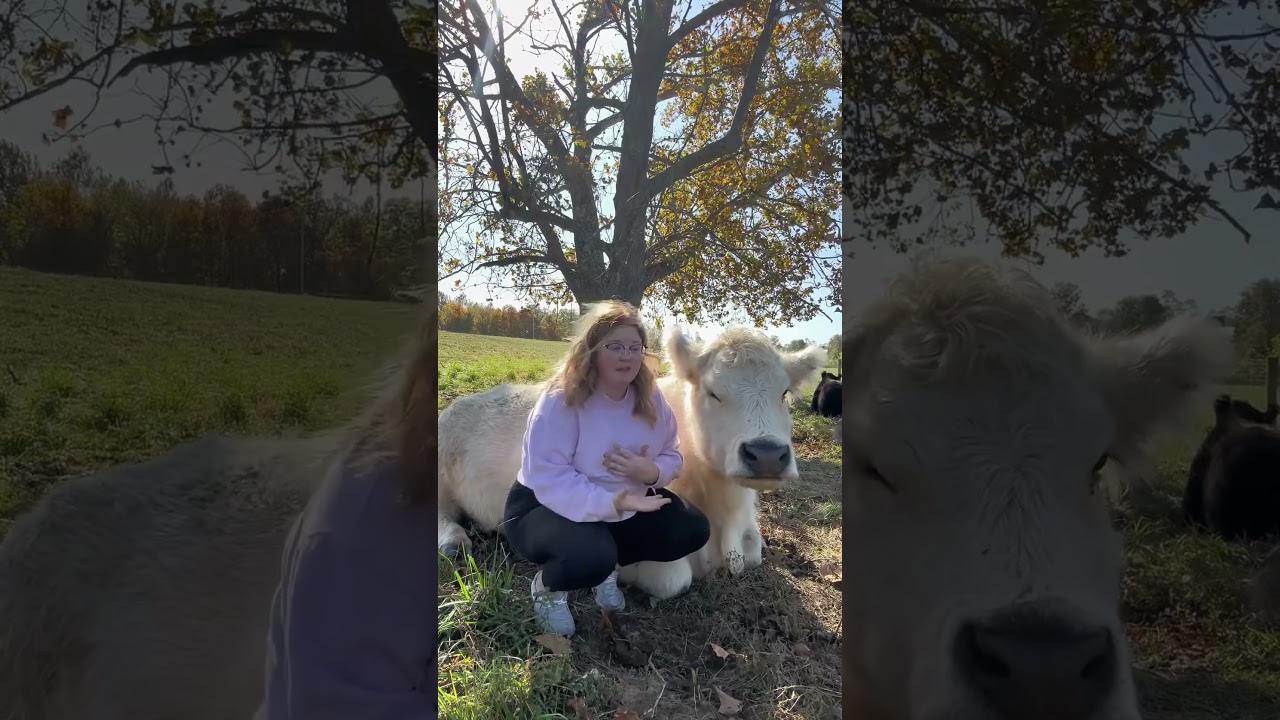 Just Thought I’d Do a Good Video to Pin for My Page!