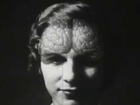 Flavor Crystals - Eyes Go White