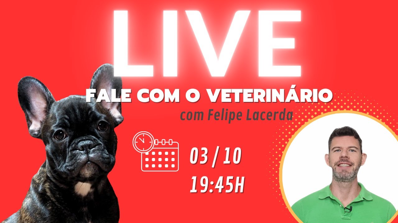 126 | FALE COM O VETERINÁRIO - Live gratuita para você perguntar tudo sobre seu cachorro ou gato!