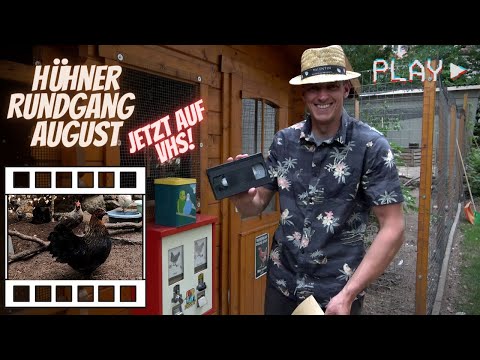 Hühner Rundgang August 2022 - Das große Trinken