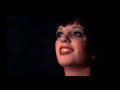 A music video of the film "Cabaret" with shot of the last scene and "Mein Herr". The music is "Cabaret" of the film. Liza, we love you ^^!!