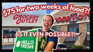 Vlog #388| $75 for two weeks of food in 2025?! Budget Grocery Shopping! Grocery Haul!