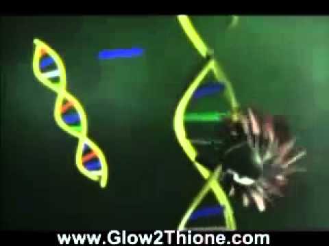 What are Free Radicals?