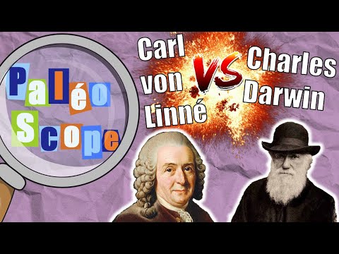 Linné VS Darwin ! La classification du vivant #1 - PaléoScope #4