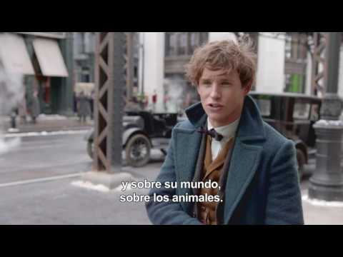 Entrevista a Eddie Redmayne sobre Animales Fantásticos y Dónde Encontrarlos