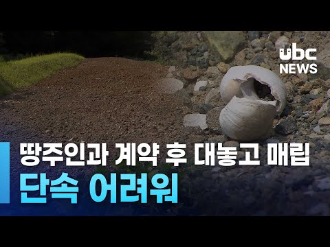 땅주인과 계약 후 대놓고 매립..단속 어려워'