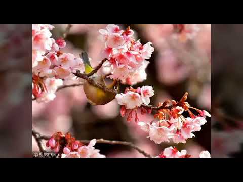 Anas younus naat ya illahi. 1