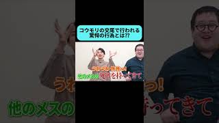 ぐんぴぃ怖すぎて少し震えてて草 - 人間以外にもあの行為をする奴がいる衝撃 #shorts