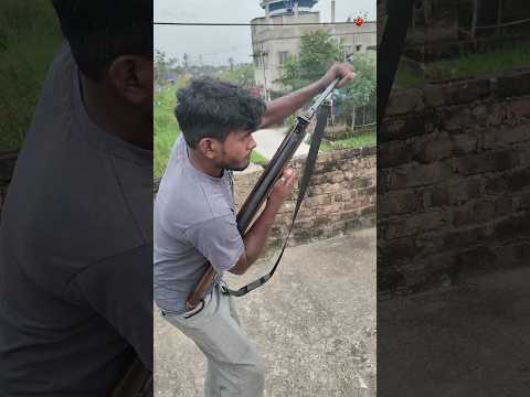 Professional Shooter | Hunting Birds | Birds Killer | Air gun #youtubeshorts #shorts #ytshorts