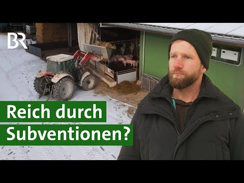 Fakten auf den Tisch: So viel Förderung bekommt ein Bauer | Unser Land | BR