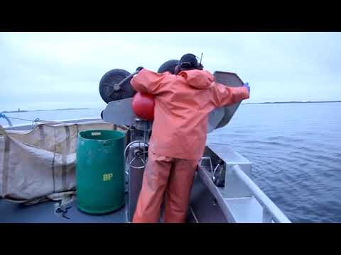 poster-bild för video