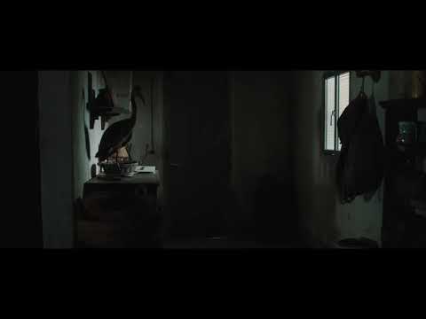 #el silencio del pantano"