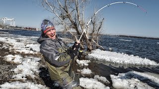 Удилище волжанка горыныч 2 7м до 200гр
