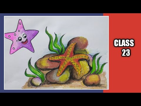 Step by step drawing || how to draw a starfish || how to draw a realistic starfish
