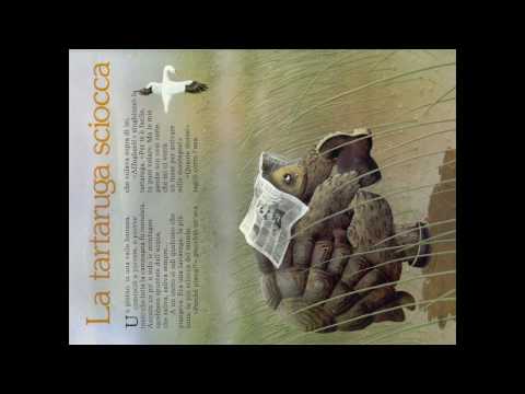 La tartaruga sciocca