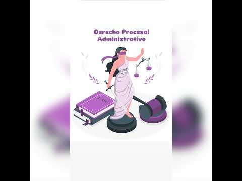 Procesal administrativo 17 07 2025