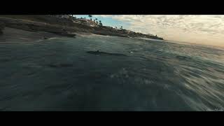 La Jolla Beach (Cinematic FPV) DJI FPV System w/ GoPro Hero 8