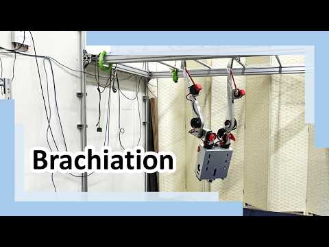 Robust Brachiation on a Life-Sized Dual-Arm Robot Using Waypoint-Guided Reinforcement Learning