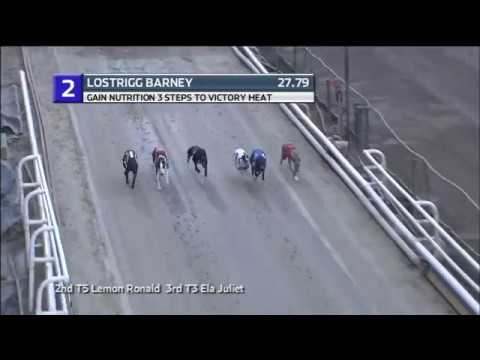 2019 THREE STEPS - HEAT 5 - T2 LOSTRIGG BARNEY
