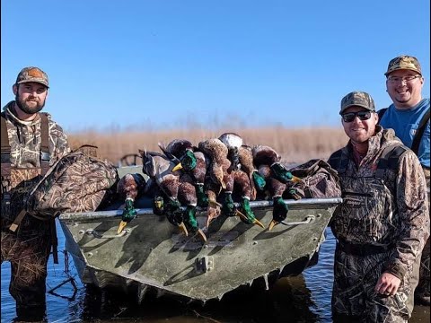 Missouri 2022 Duck Season: Four Man Limit on Greens!!!