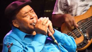 That's Allright by James Cotton @ Riverfront Blues Festival August 5 2011