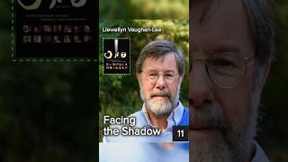 Facing the Shadow