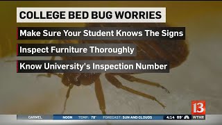 Bed Bug Concerns at College
