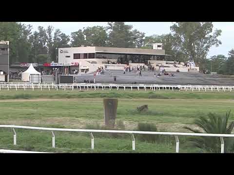HIPODROMO LAS PIEDRAS -  2/11/25 | EN VIVO | URUGUAY