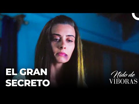 ¿Cuál Es El Gran Secreto De Elvan? - Nido De Víboras