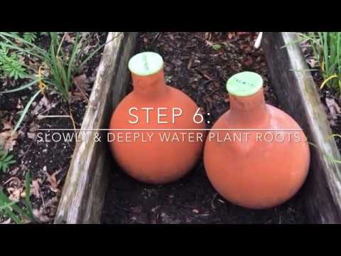 Episode 218: 7 Easy Steps to Grow Tomatoes in a Hot Climate, including How to use Shade Cloths