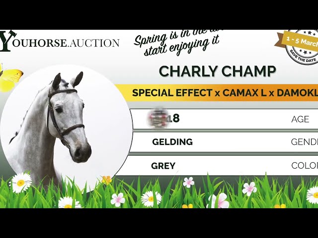 Charly Champ trainingsvideo