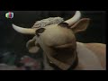 Iftah Ya Sim Sim I M Proud To Be A Cow