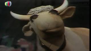 Iftah Ya Sim Sim -  I&#39;m Proud To Be A Cow