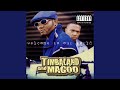 Up Jumps Da' Boogie (feat. Missy Elliott & Aaliyah)