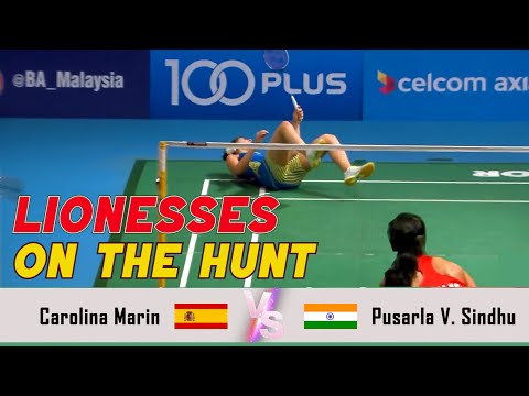 LIONESSES ON THE HUNT | Carolina Marin VS Pusarla V. Sindhu