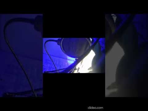 Minuto Exacto del Temblor percibido en Chiguayante, BioBio Bio-Bio Chile