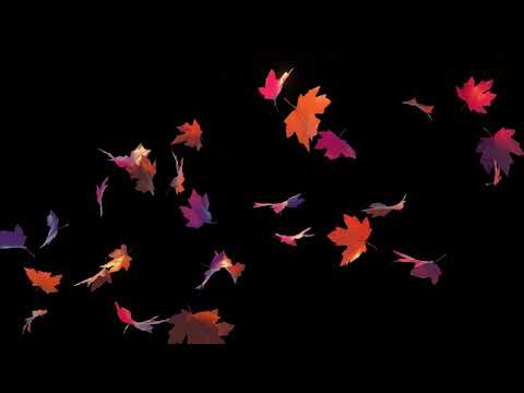 Hey Relax- Drifting Leaves- Video for Stress, Anxiety, Sleep and Calm