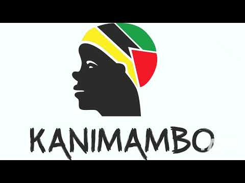 The Kanimambo - The Killers & João Maria Tudela | RaveDJ