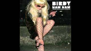 Birdy Nam Nam Trans Boulogne Express (the driver & lunatic asylum remix)