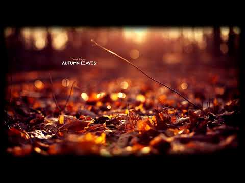 Autumn Leaves - Sam Payne