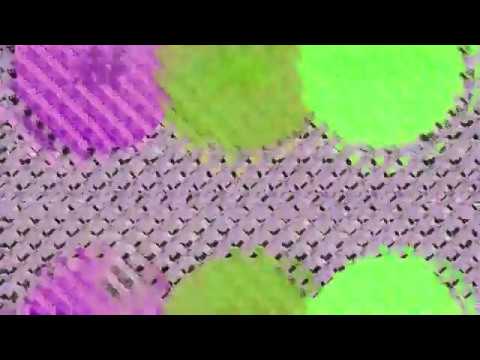 download lagu mp3 mp4 Wfoc, download lagu Wfoc gratis, unduh video klip Wfoc