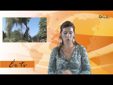 Ér Tv - Emisiunea 10 - 23.08.2013 - Săcueni